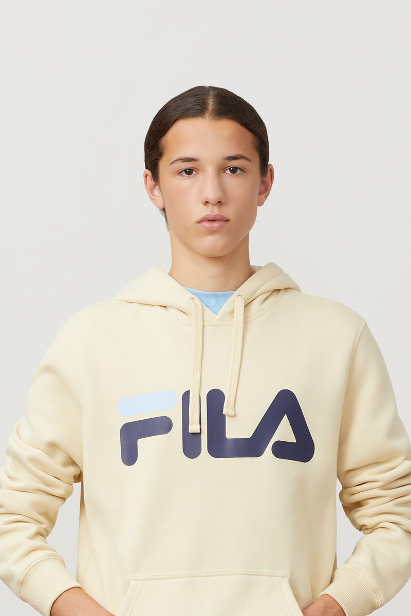 Men's Fila Flori Hoodie Hoodies Brown / Navy / Blue | WPXUPU9oiwr